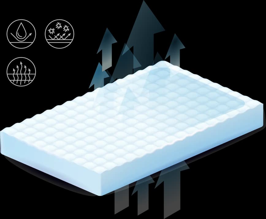 About Us Introduction